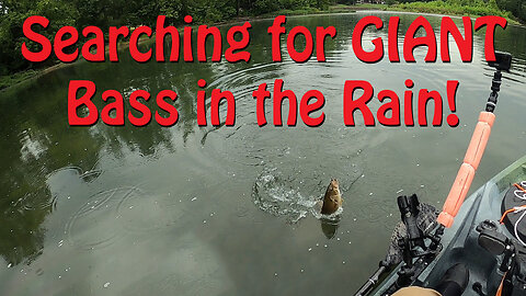 Searching for GIANT bass in the rain!