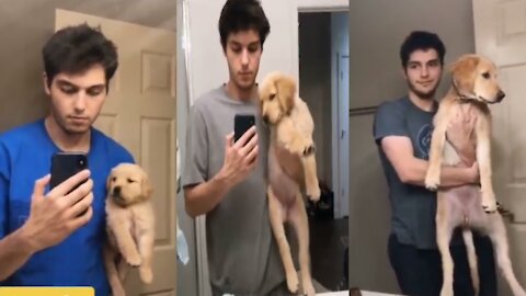 Watch this Puppy Grow