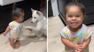 Little Girl Adorably Trains Her Doggy To Do Tricks