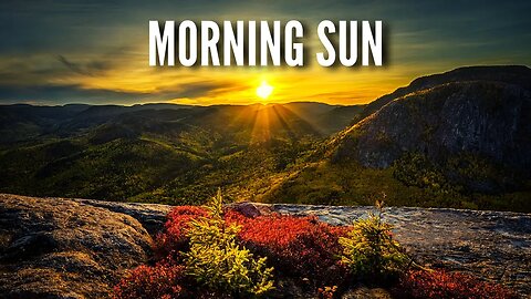 Morning Sun – LiQWYD#Chill Music [#FreeRoyaltyBackgroundMusic]