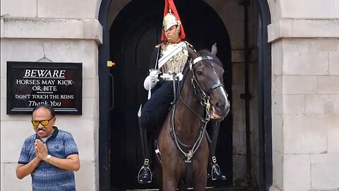 Tourist has a prayer 🙏 when the guard gives him that look 😆 🤣 😂 #horseguardsparade