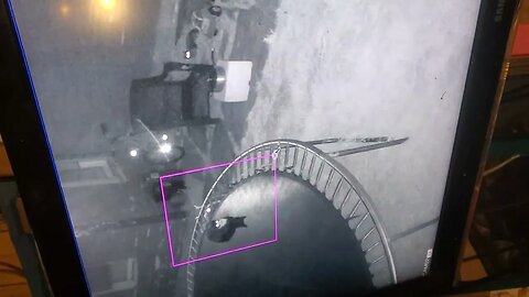 I Watch Cats on Security Cams