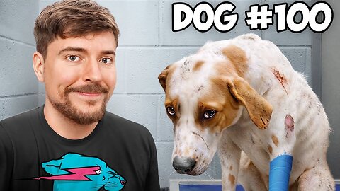 I Saved 100 Dogs From Dying #MR.Beast #MR.BeastGaming
