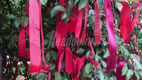 A "Tree of Heroes" appeared in Donetsk, hung with ribbons with messages to Russian & allied soldiers