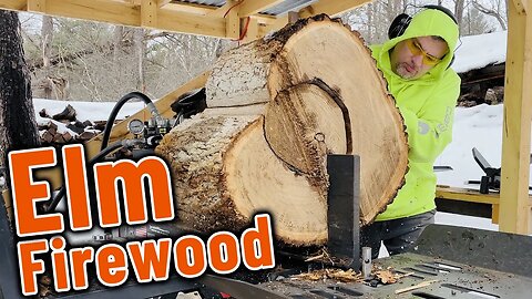 Splitting Elm for Firewood...Easy or Difficult?