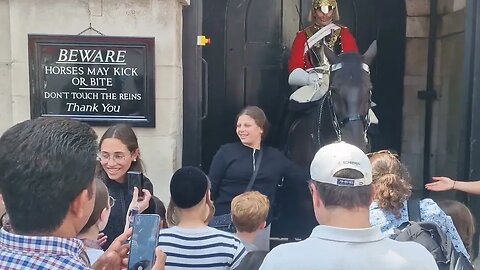 What was the point of the sign don't touch the reins #horseguardsparade