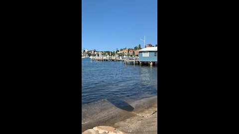 Double Bay Ferry Sydney