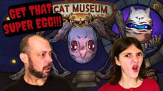 Cat Museum Part 2