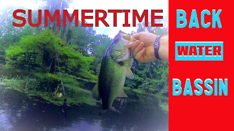 SUMMERTIME BACKWATER TOPWATER BASSIN