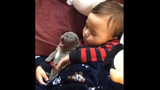 Little Boy Smothered In The Puppy Love | Cuteness overload 😍