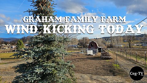 Graham Family Farm: Wind Kicking Today