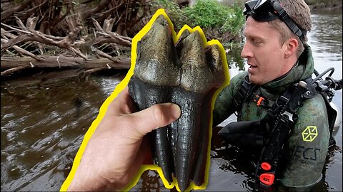 Found ICE AGE MAMMOTH fossils while diving in Florida River full of gators 🐊