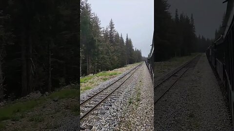 Alaska Train!