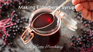 Make Immune Boosting Elderberry Syrup