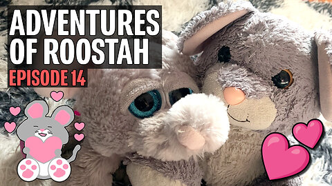 The Adventures of Roostah (episode 14) : We Are Getting Married