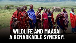 Secrets of Maasai Wildlife Harmony | How the Maasai and Wildlife Coexist!