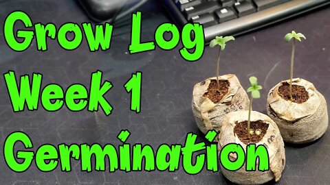 Grow Log Week 1: Germination