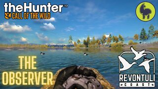 The Observer, Revontuli Coast | theHunter: Call of the Wild (PS5 4K)