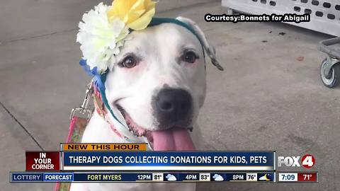 Therapy dogs collecting donations for needy kids, pets in SWFL