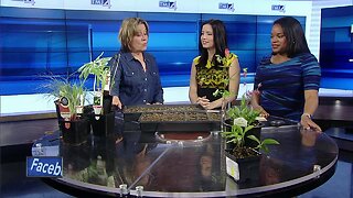 Melinda Myers brings your lawn to life on a budget