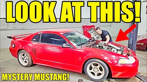 I Tried Starting The Engine In My Abandoned SVT Cobra After Sitting For 20 Years! Look Inside!