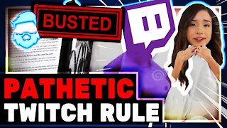 Twitch Just BANNED Making Fun Of Their Mods After Massive ROASTING For Banning Tayhuhu