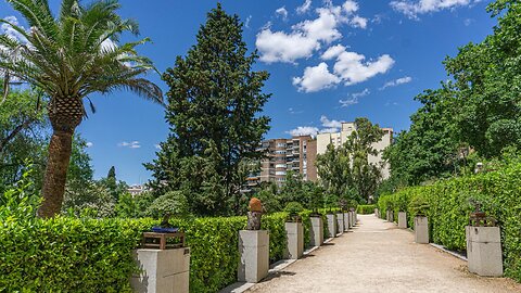 Мадрид, Кралската ботаническа градина, оранжерия и бонзай - галерия в 4К