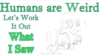 Humans are Weird - What I Saw - Let's Work It Out