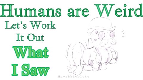 Humans are Weird - What I Saw - Let's Work It Out