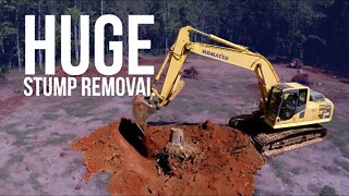 Huge Stump Removal | Forest to Farm