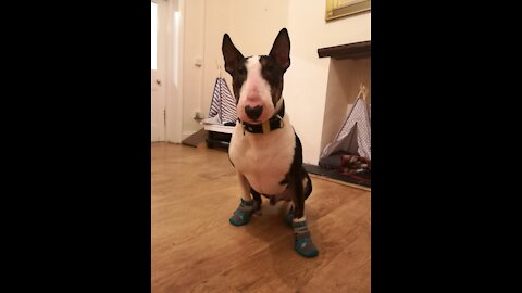 First walk in new boots