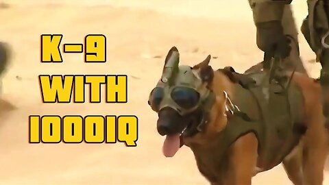 The most Impressive K9 in the Special Forces completes Insane Mission.