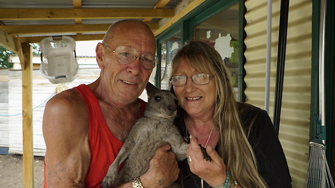 This Aussie Couple Has Turned Their Home Into A Kangaroo Sanctuary