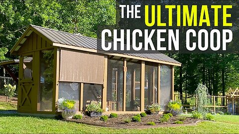 Best Chicken Coop In NC! - Cedar Mountain Coop Tour