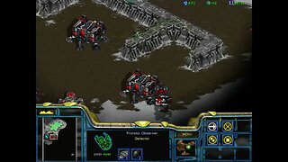 starcraft brood war p3 - acting mousy around terrans and protoss