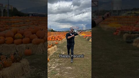 It’s Fall Y’all! #harvest #fall #family #familytime #pumpkinpatch #girldad