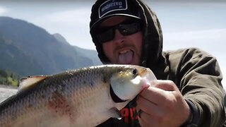 Steelhead, Trout, Salmon, & SHAD FISHING All In The Same Day! | Addicted Life Ep. #54