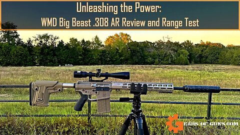 Unleashing the Power: WMD Big Beast .308 AR Review and Range Test