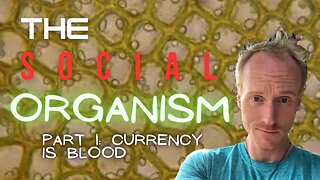 Social Organism 1: Currency as Blood