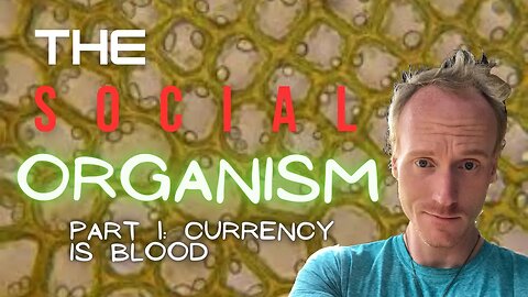 Social Organism 1: Currency as Blood
