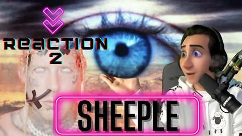 💥YOU WILL WANT TO LISTEN TO THIS WHOLE REACTION MUSIC VIDEO BY TOM MaCDONALDS | SHEEPLE |
