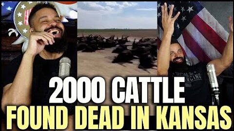 2000 Cattle Found Dead In Kansas ~ Conservative Twins