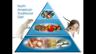 Mice and the North American Diet