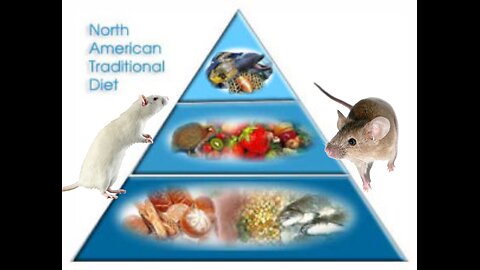 Mice and the North American Diet