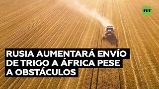 Rusia planea aumentar exportación de trigo a África, pese a los obstáculos de Occidente