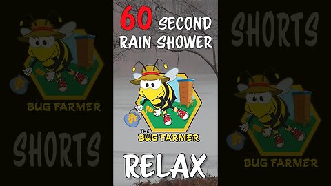 #shorts 60 Second Rain Shower - Relax - Time Out