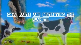 COW FARTS ARE DESTROYING THE PLANET!