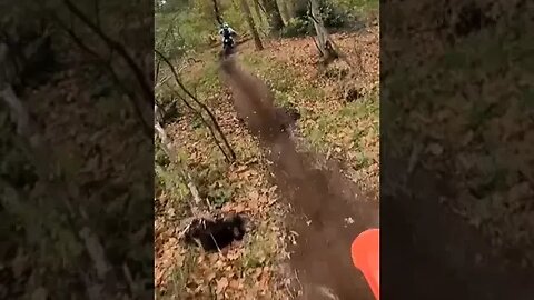 Riding enduro in the forrests of The Netherlands