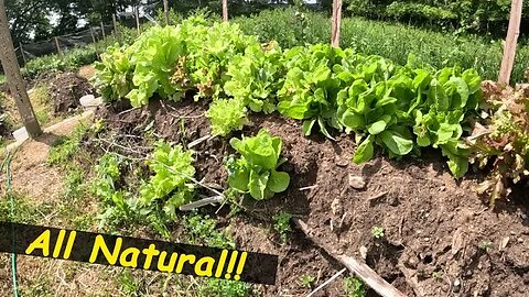 ALL NATURAL Raised Garden Beds | Hugelkultur