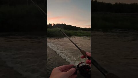 Beautiful evening fishing